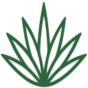 Ikona